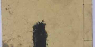 Manuscript of three staff members: Qi in 99, no strategy in 66