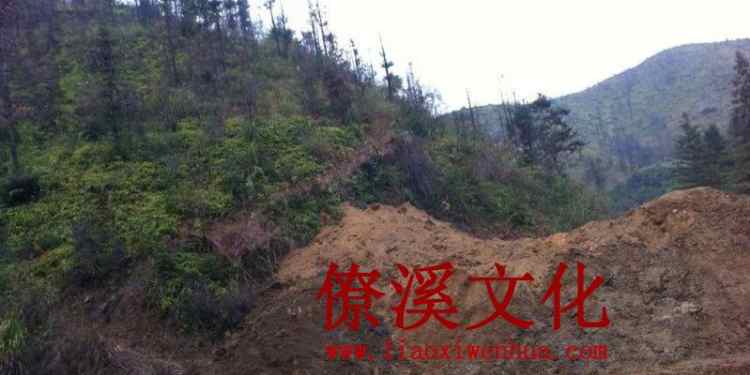 Turtle shape theory: