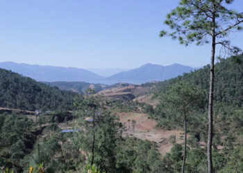 Tiger shaped ground forceps of Erwu mountain in Xichang