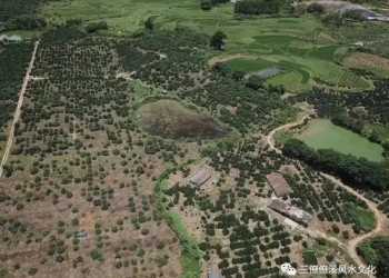 Professional people do professional things! Explain the works of Yang Gong and Zeng Gong!