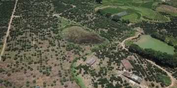 Professional people do professional things! Explain the works of Yang Gong and Zeng Gong!