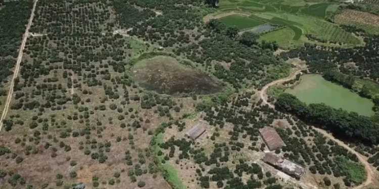 Professional people do professional things! Explain the works of Yang Gong and Zeng Gong!