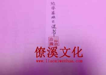 Beginner’s Day Book