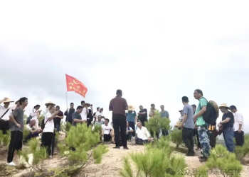 Liaoxi Kanyu 2024 Autumn Natural Gas Class Enrollment (15 sessions)