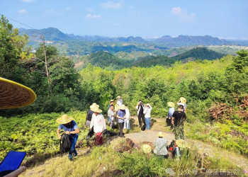 Liaoxi Kanyu’s Autumn 2024 Dragon Searching Acupoint Enrollment (15th Session)