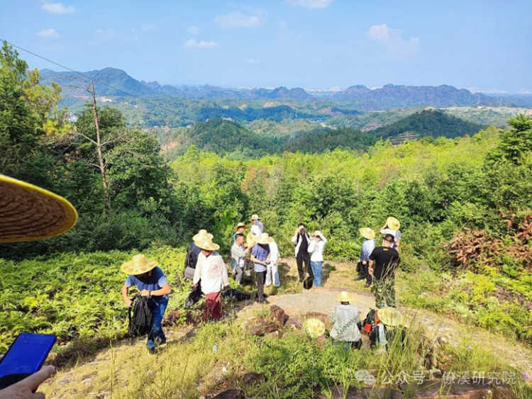 Liaoxi Kanyu’s Autumn 2024 Dragon Searching Acupoint Enrollment (15th Session)